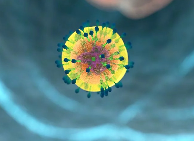 Top 10 Things Which Harm You Immune System